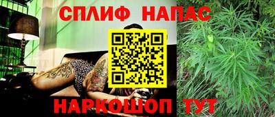 сатива Волгодонск